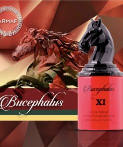 bucephalus xi