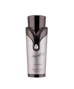 magnificent pour homme silver